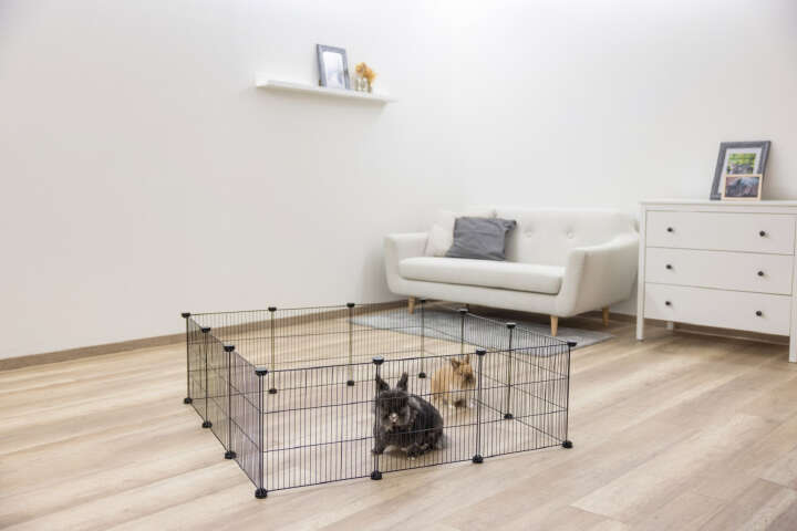 KERBL Freilaufgehege Hopsi